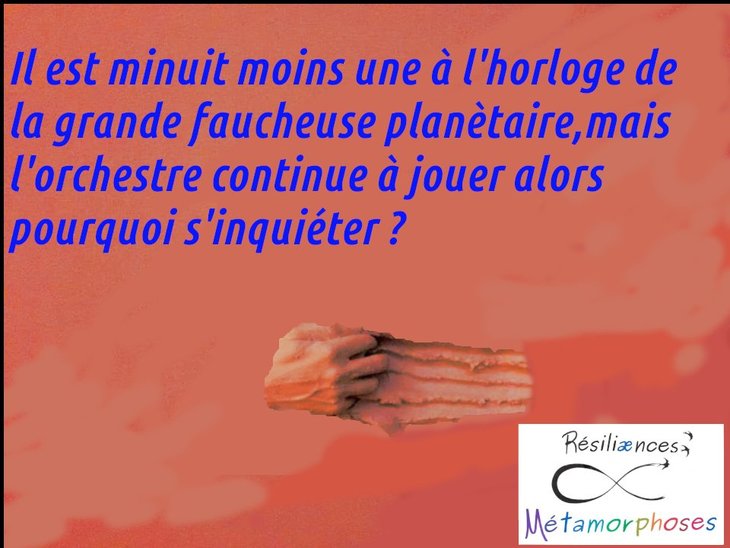 Conférences Café Collapse