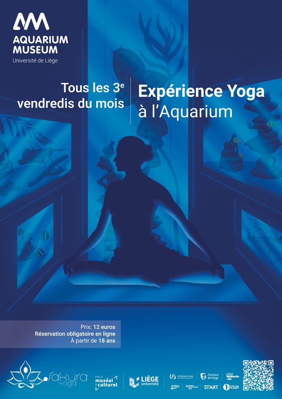 Stages,cours Expérience Yoga l’Aquarium