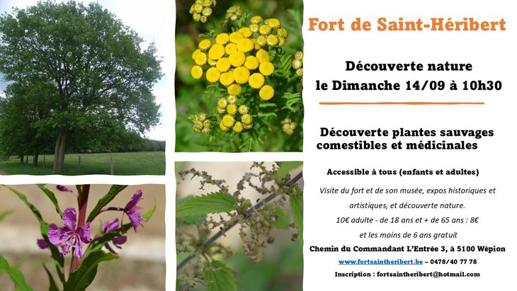 Loisirs Découverte Nature Fort Saint-Héribert