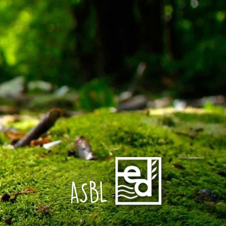 Stages,cours Les animaux froid