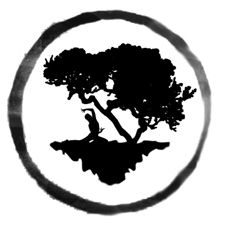 Stages,cours Qi Gong