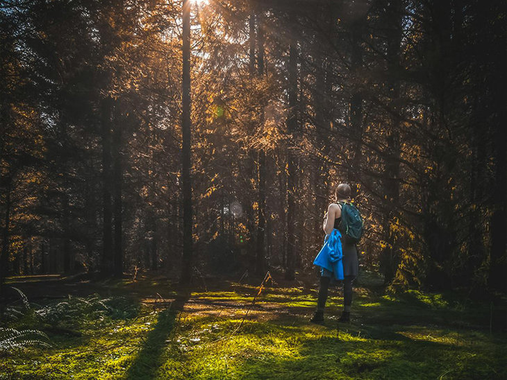 Stages,cours Les bains forêt