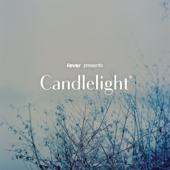 Concerts Candlelight : Hommage Ludovico Einaudi