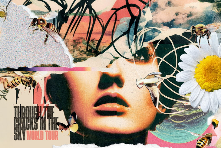 Concerts The Dangerous Summer (us)