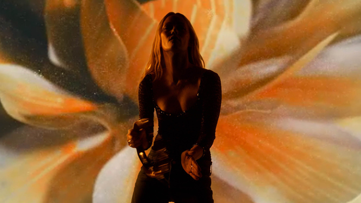 Concerts Vanessa Paradis