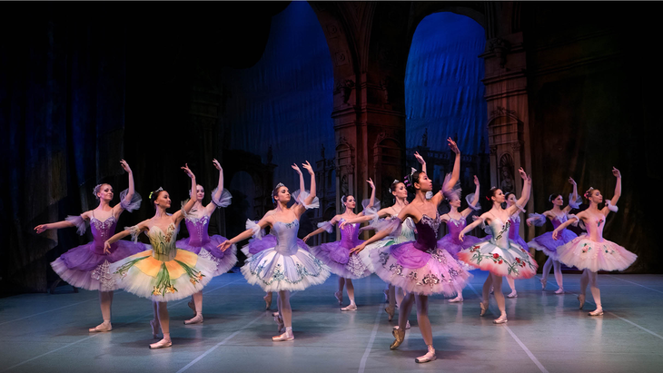 Spectacles Ballet Dreams Gala