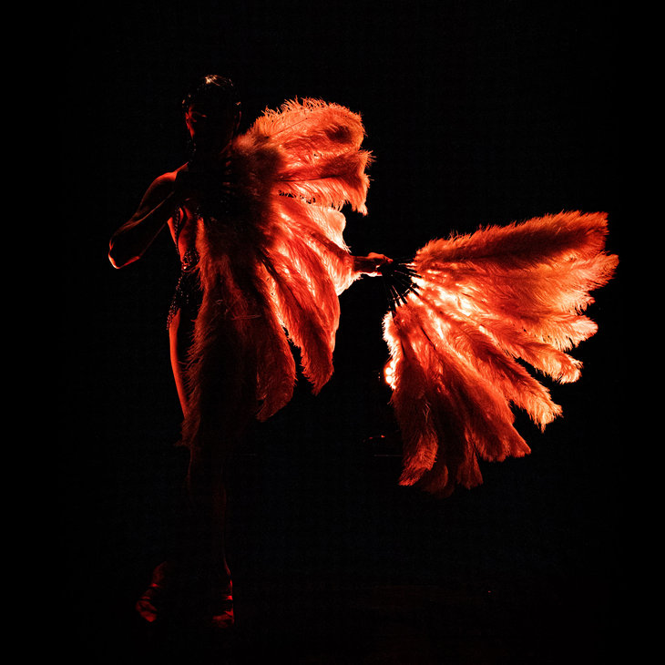 Spectacles New Cabaret