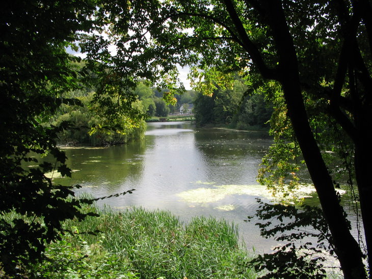 Loisirs Randonnée Forêt Soignes