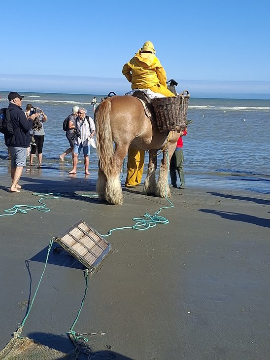 Excursions, séjours Aventure modulable - Pêcheurs crevettes cheval