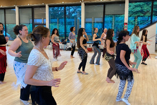 Stages,cours Cours danse orientale Bruxelles