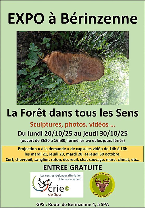 Expositions La Forêt dans tous sens