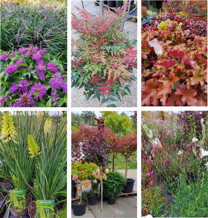 Loisirs Bourse plantes jardin clé temps