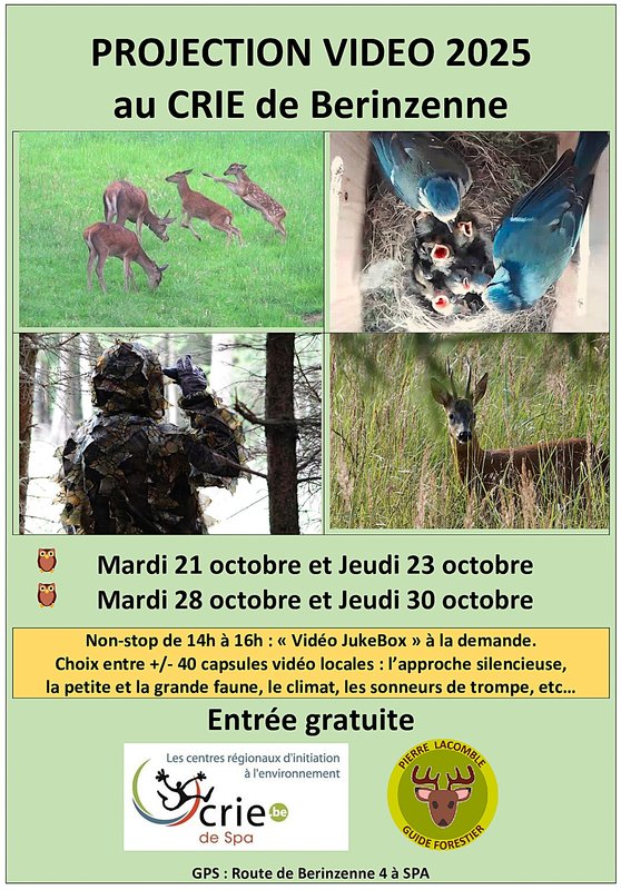 Conférences Projection Vidéo