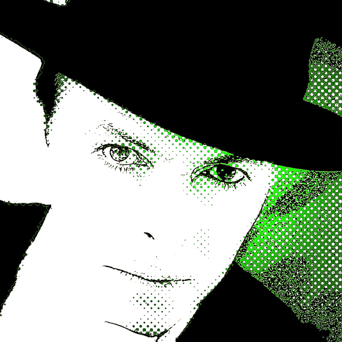 Concerts Bowie/Rieppi