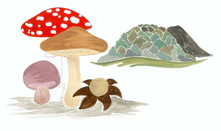 Loisirs Journée Champignons terril
