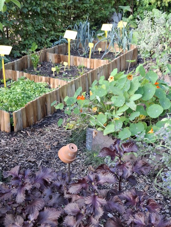Loisirs La nature potager
