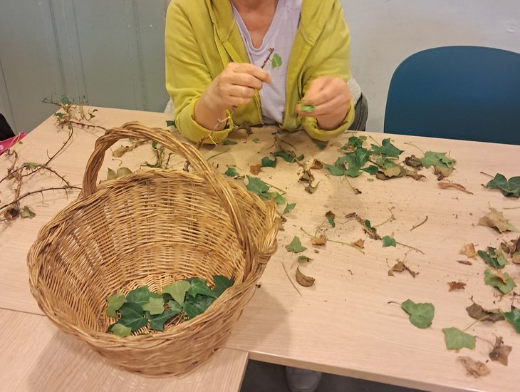 Stages,cours Atelier écoresponsable : Découverte Réalisation d’une Lessive Lierre