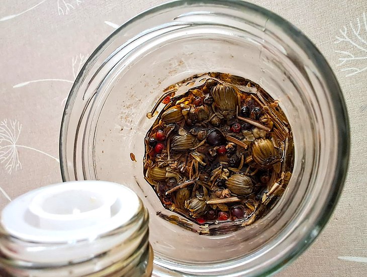 Stages,cours Atelier Herboristerie :Rencontre avec vinaigres médicinaux