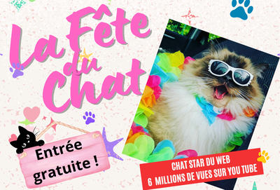 Loisirs La fête chat
