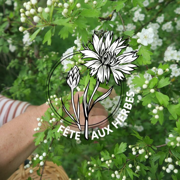 Loisirs Fête herbes 