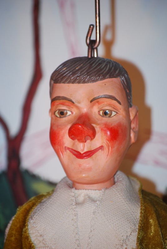 Spectacles Le gentil petit Tailleur