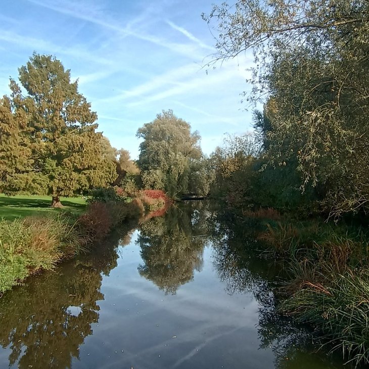 Loisirs Bruxelles rythme saisons - Automne - couleurs nord Bruxelles