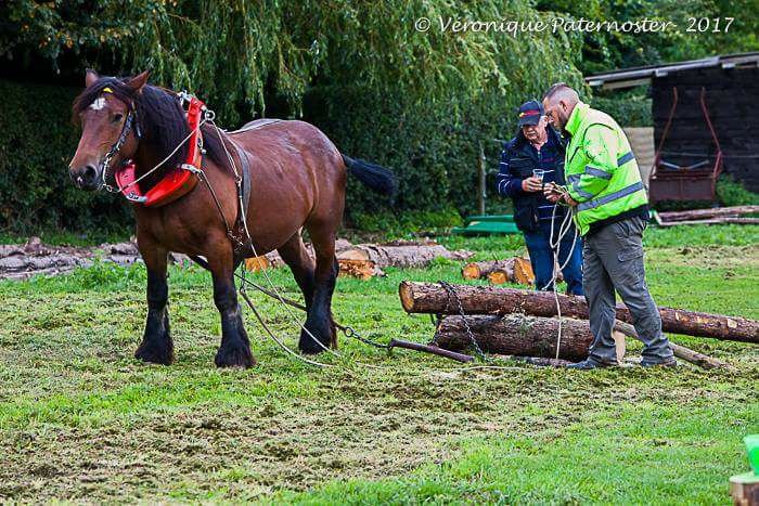 Stages,cours Introduction Maraîchage introduction Débardage