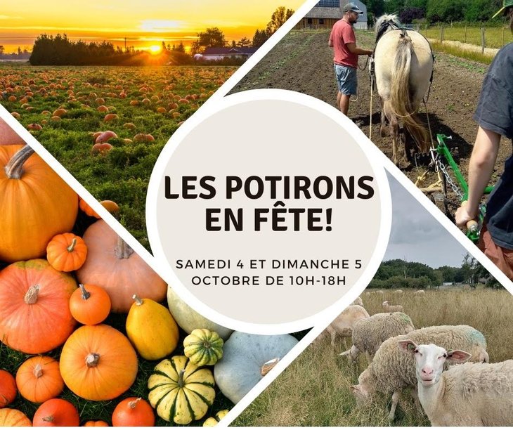 Loisirs Les potirons Fête