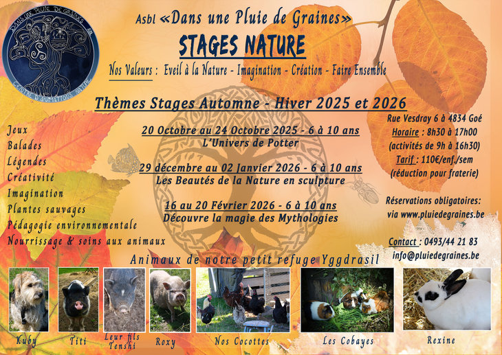 Stages,cours Stage Nature : beautés la Nature scuplture 