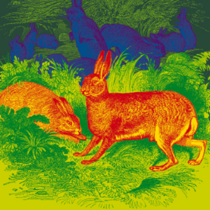 Spectacles Lecture-spectacle : Garennes Watership Down