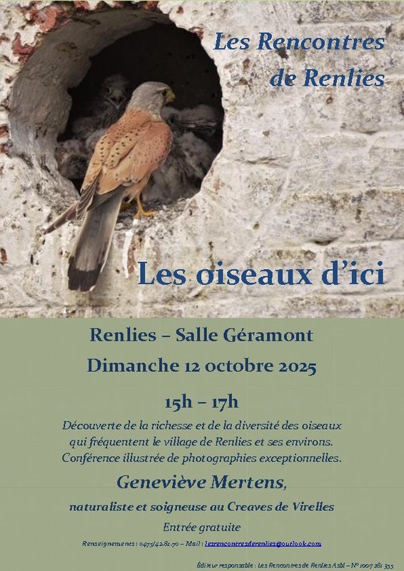 Conférences Les oiseaux d ici