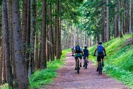 Loisirs Balade nature travers bois sentiers Crupet