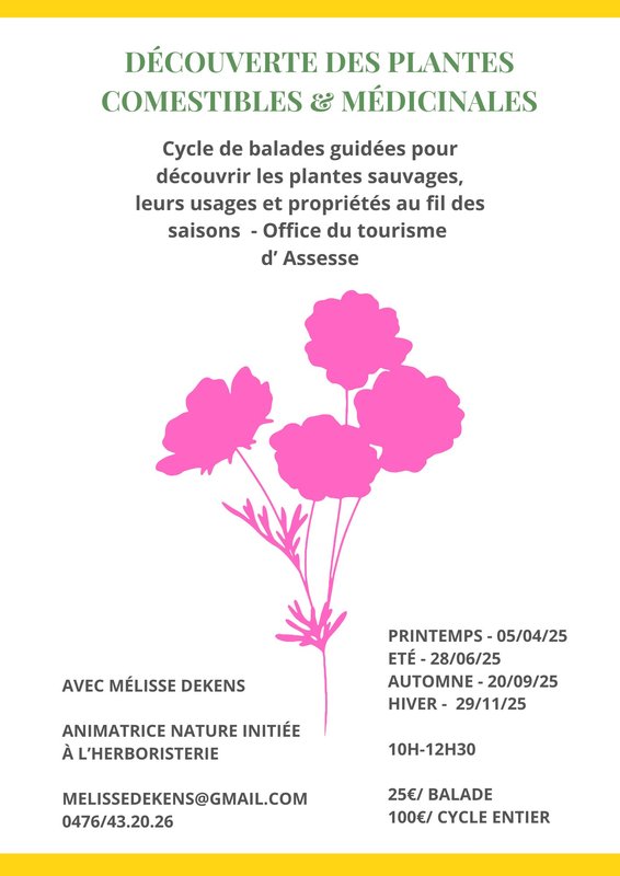Loisirs “Au murmure arbres”