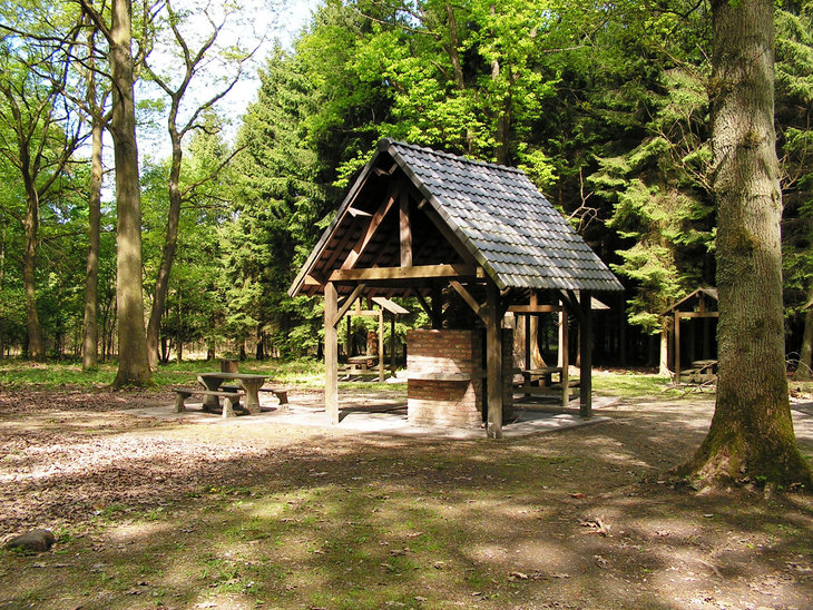 Loisirs Rallye nature pour enfants