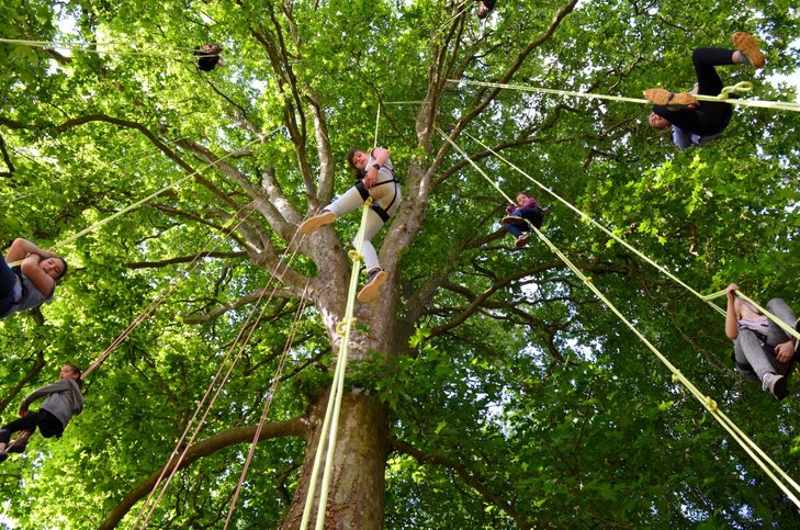 Loisirs Initiation la grimpe d’arbres