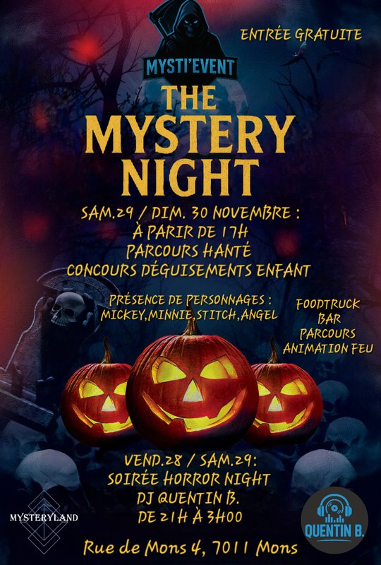 Loisirs The Mystery Night