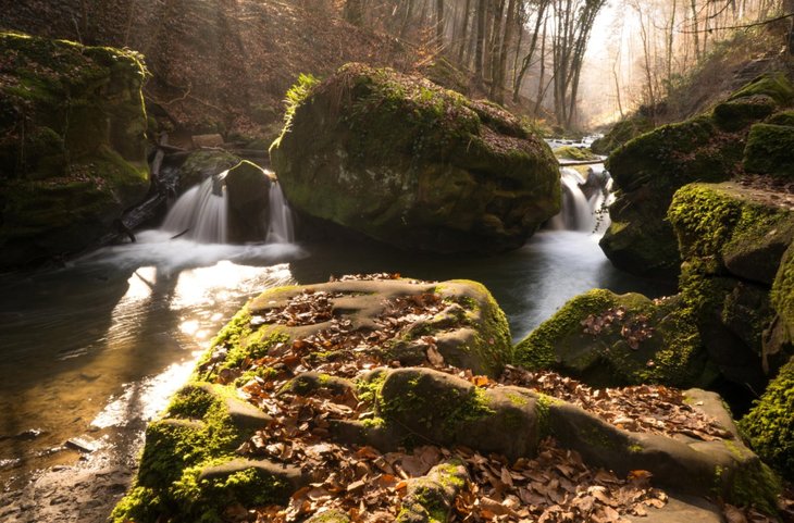 Excursions, séjours La petite Suisse Luxembourgeoise - randonnée guidée