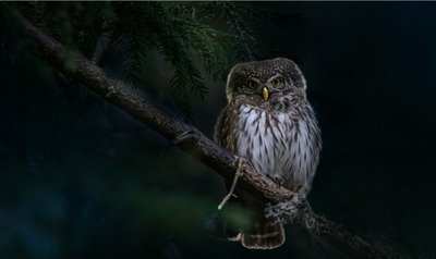 Soirées Nuit l’Obscurité Houtaing