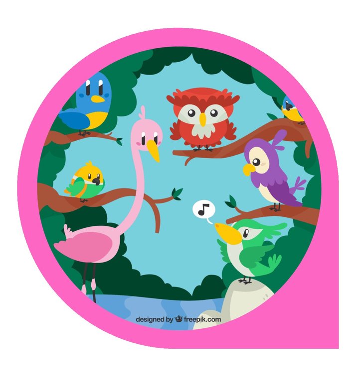 Stages,cours Eveil Musical: Oiseaux