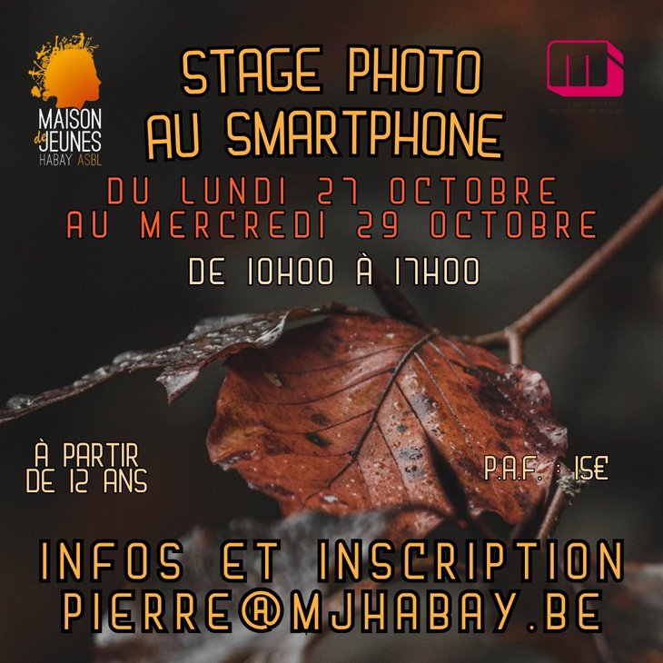 Stages,cours Stage photo smartphone (ado)