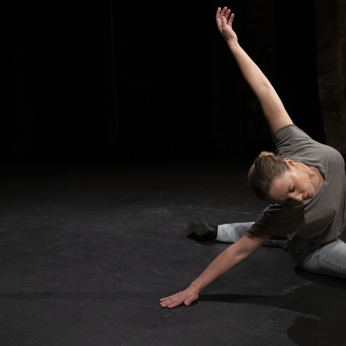 Spectacles Les chatouilles la danse la colère