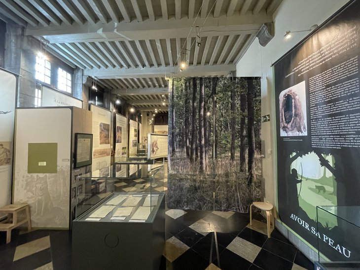 Loisirs Visite dimanche : exposition temporaire  Avoir peau 