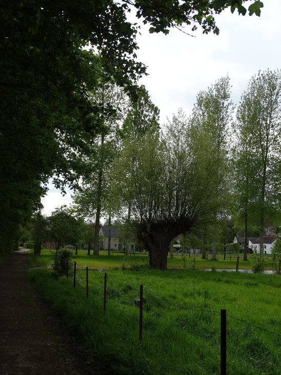 Loisirs Découverte Wonck