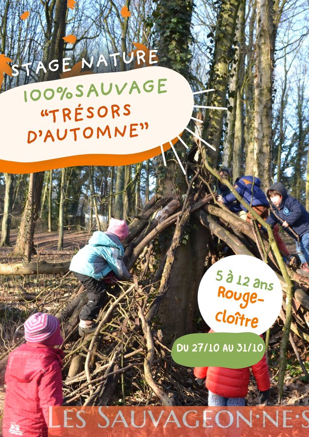 Stages,cours Stage “100% sauvage”  “Trésors d’automne”