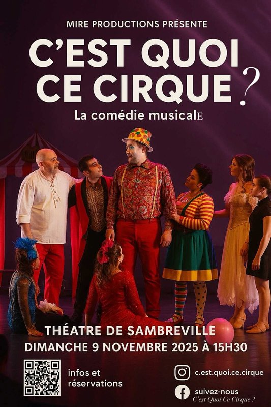 Spectacles C est Quoi Cirque ?