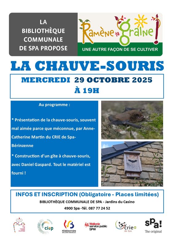 Conférences Atelier Grainothèque : chauve-souris
