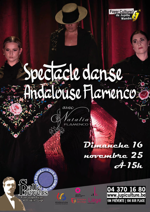 Spectacles Spectacle Andalouse Flamenco Danse