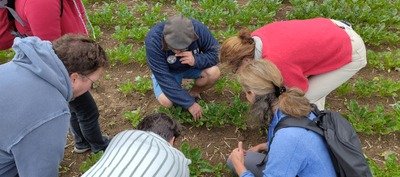 Loisirs Découvrez santé votre sol