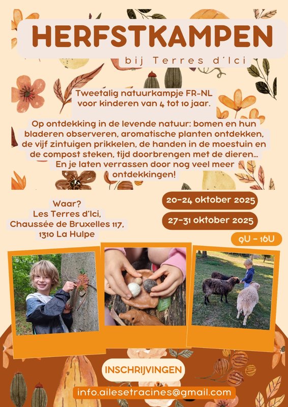 Stages,cours Stage nature d automne