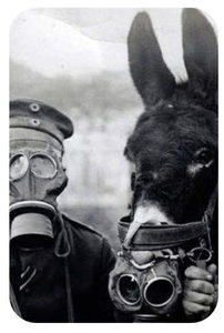 Expositions LES ANIMAUX DANS GUERRE